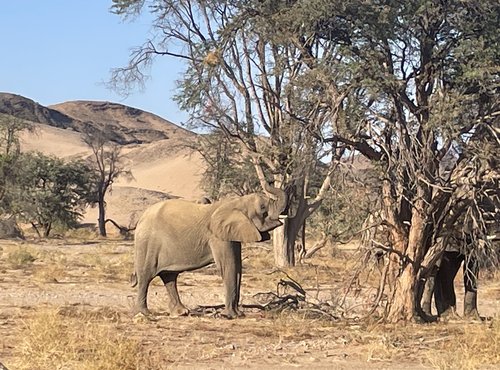 Souvenir du voyage de Fabien, Namibie