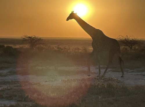 Souvenir du voyage de Fabien, Namibie