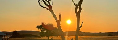 Souvenir du voyage de Fabien, Namibie