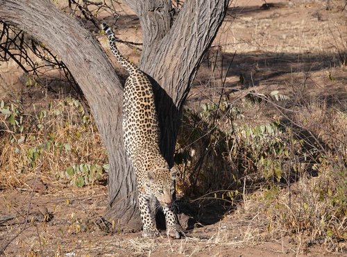 Souvenir du voyage de Fabien, Namibie