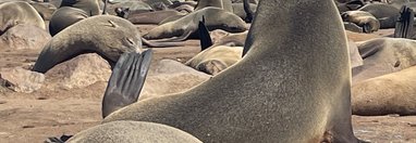 Souvenir du voyage de Fabien, Namibie