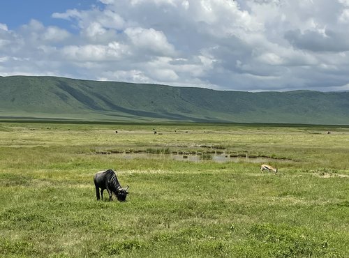 Souvenir du voyage de Ines, Tanzanie