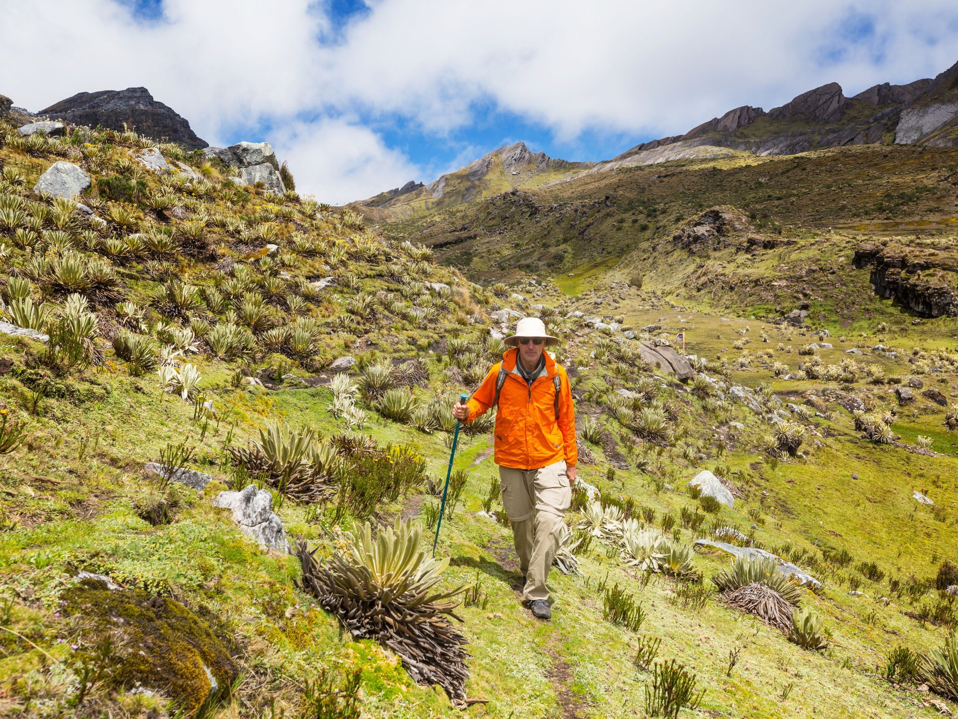 A faire : trek en Colombie