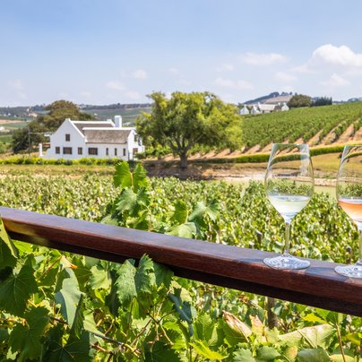 Vignoble a Stellenbosch en Afrique du Sud
