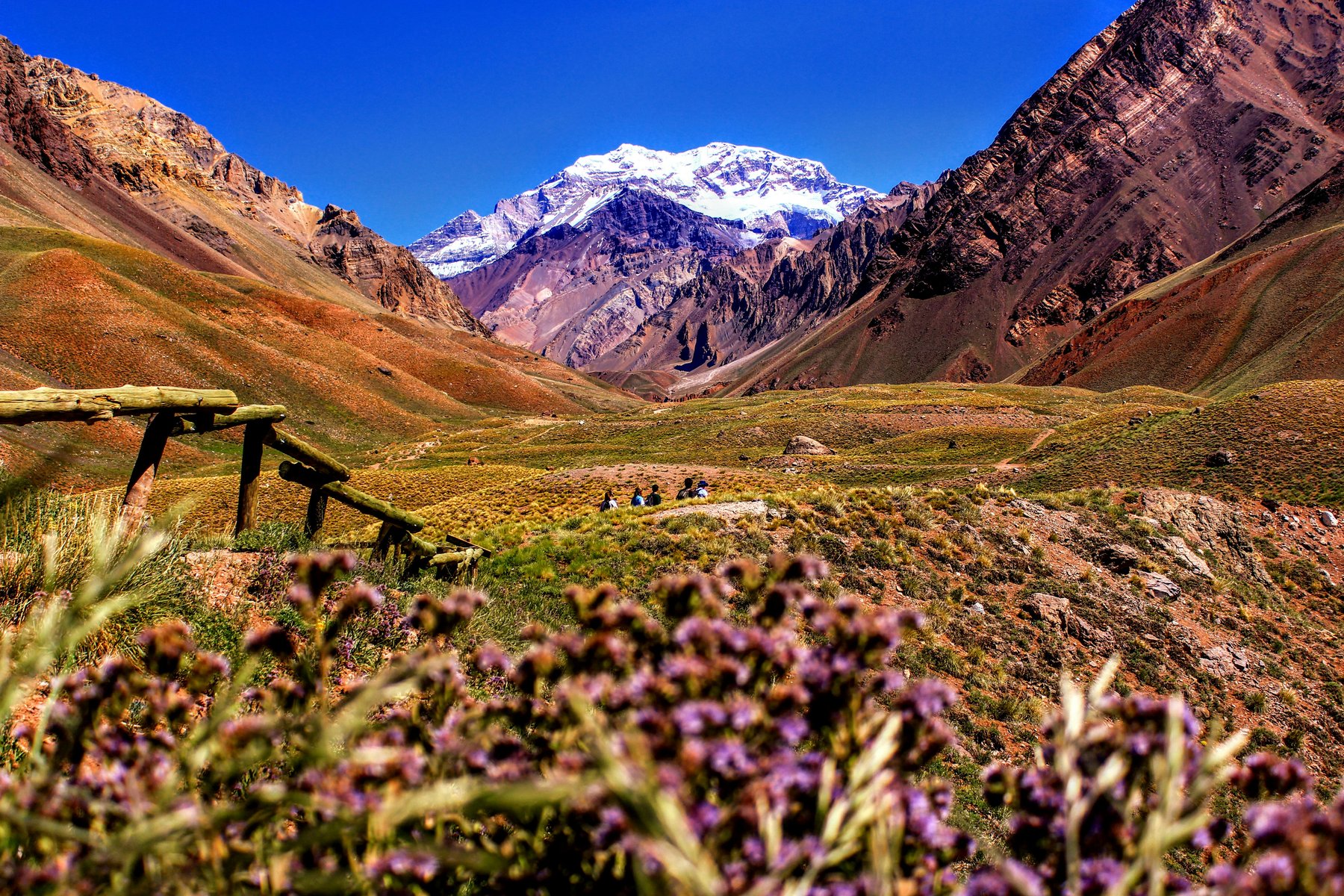 Parc de Aconcagua a Mendoza en Argentine