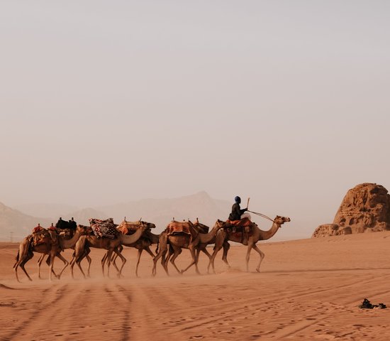 Bédouins Jordanie