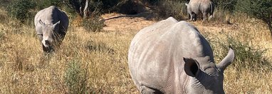 Souvenir du voyage de Fabien, Namibie