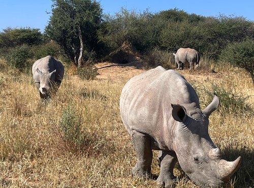 Souvenir du voyage de Fabien, Namibie