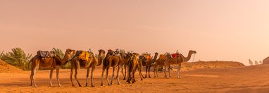 Souvenir du voyage de Jean, Maroc
