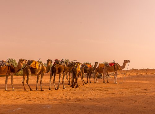 Souvenir du voyage de Jean, Maroc