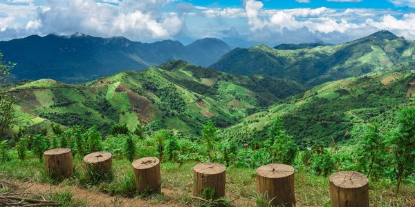 Montagnes Kalaw en Birmanie