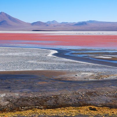 Laguna Colorada en Bolivie