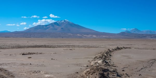 Bolivie desert chiguana