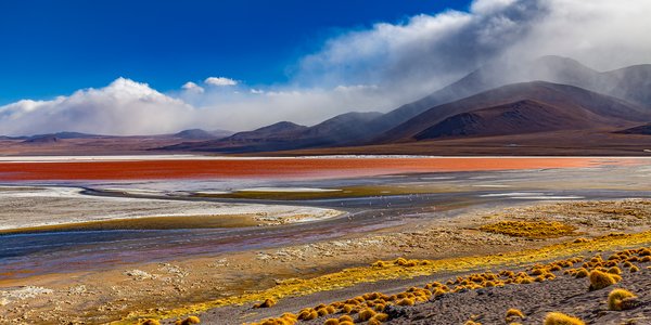 Bolivie lagune altiplano