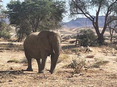 Souvenir du voyage de Fabien, Namibie