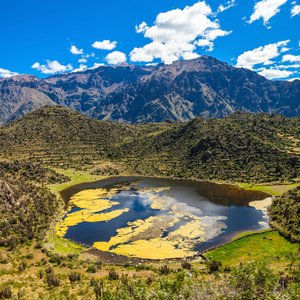 Canyon Colca