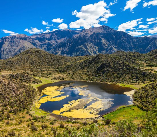 Canyon Colca