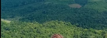 Souvenir du voyage de Erwan, Thaïlande