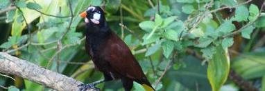 Souvenir du voyage de Nathalie, Costa Rica