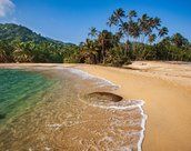 Plage de Tayrona au Caraibe en Colombie