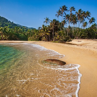 Plage de Tayrona au Caraibe en Colombie