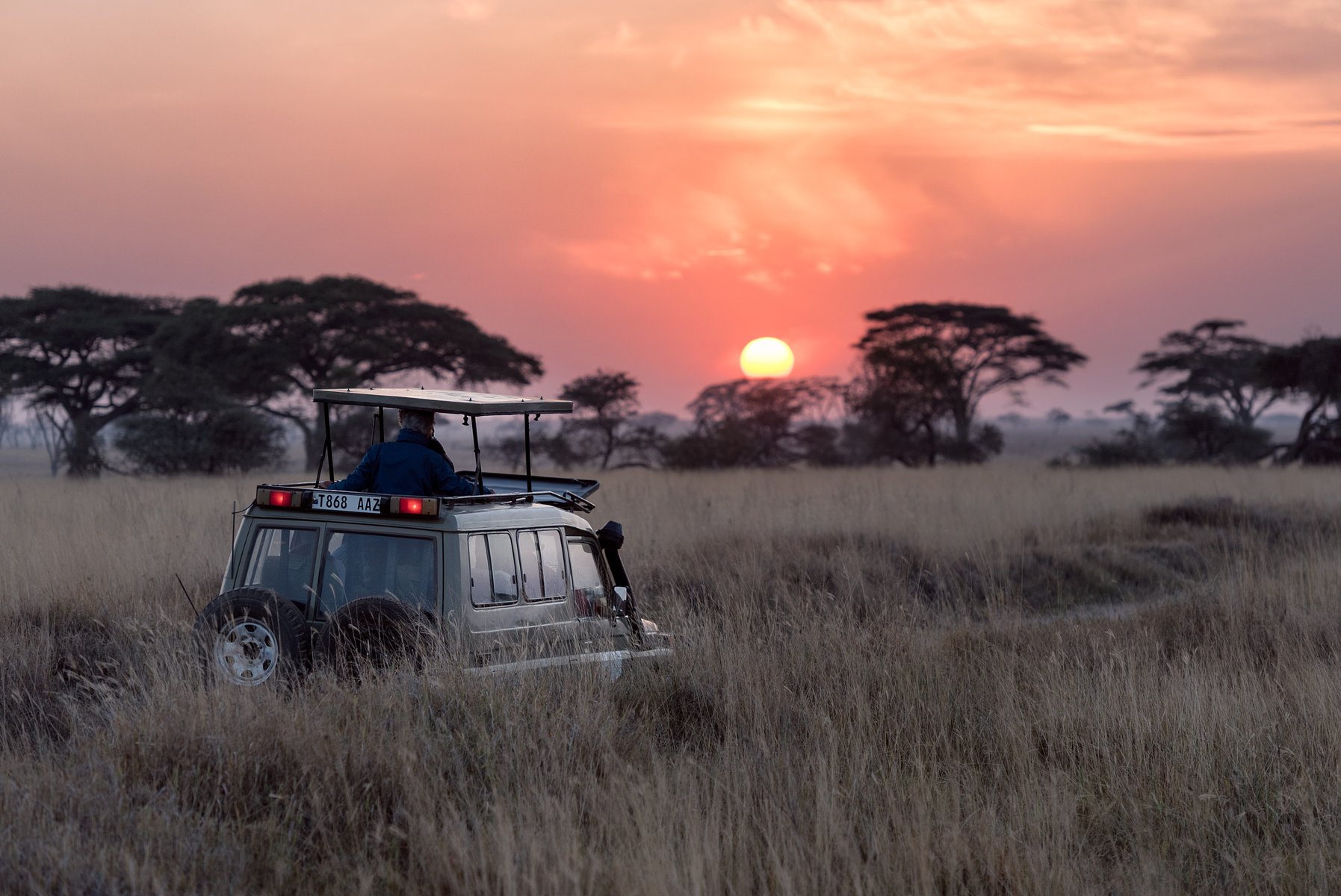 Couché de soleil sur le Serengeti, Tanzanie