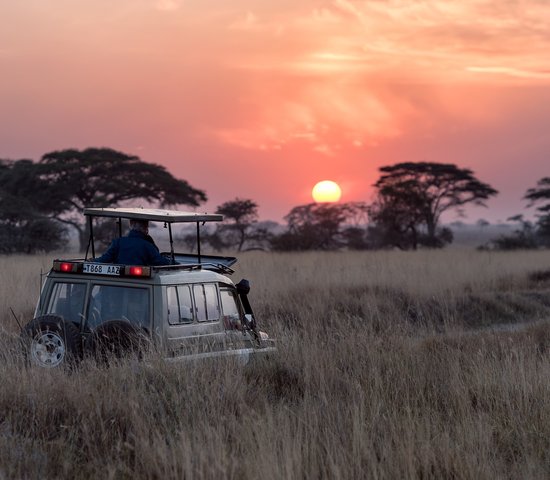Couché de soleil sur le Serengeti, Tanzanie