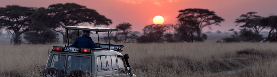 Couché de soleil sur le Serengeti, Tanzanie