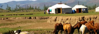 Souvenir du voyage de Karim, Mongolie