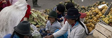 Souvenir du voyage de Pierre, Equateur