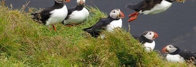 Souvenir du voyage de Frédéric, Islande.