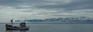 Souvenir du voyage de Frédéric, Islande.