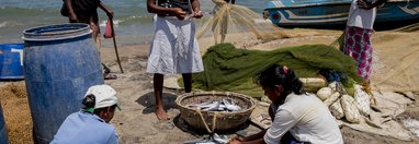 Souvenir du voyage de Alain, Sri Lanka