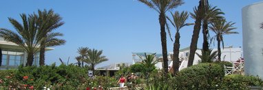Souvenir du voyage de Delphine , Maroc