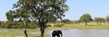 Souvenir du voyage de Joanna, Afrique du Sud