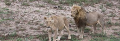 Souvenir du voyage de Joanna, Afrique du Sud