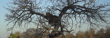 Souvenir du voyage de Michel, Afrique du Sud