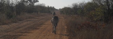 Souvenir du voyage de Michel, Afrique du Sud