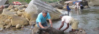 Souvenir du voyage de murielle, Sri Lanka