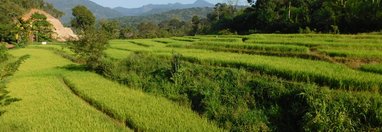 Souvenir du voyage de Jean Paul , Sri Lanka