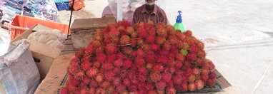 Souvenir du voyage de Jean Paul , Sri Lanka