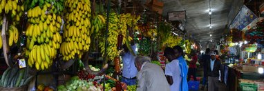 Souvenir du voyage de Olivier et Laurence, Sri Lanka