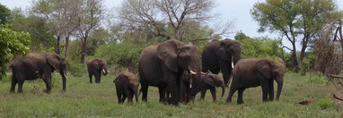 Souvenir du voyage de MICHEL, Afrique du Sud