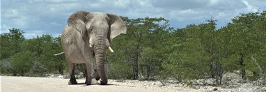 Souvenir du voyage de Benedicte, Namibie