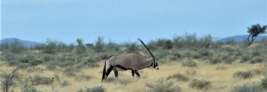 Souvenir du voyage de Benedicte, Namibie