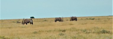 Souvenir du voyage de Benedicte, Namibie