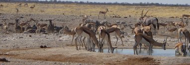 Souvenir du voyage de Eddie, Namibie