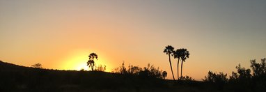 Souvenir du voyage de Christine, Namibie