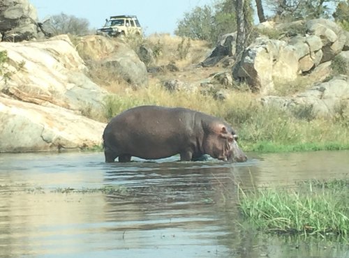 Souvenir du voyage de Celine, Afrique du Sud