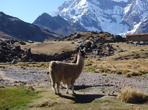 Souvenir du voyage de veronique, Pérou